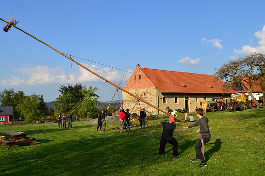 Stavění   májky  v Myslívě  má  svojí  tradici - 2019