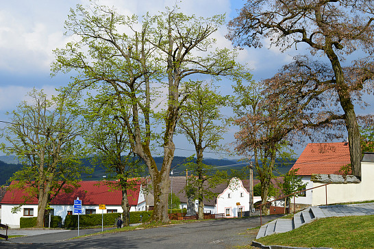 Jaro  je  za  dveřmi 17.3.2020