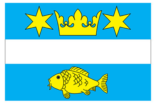 Tříkrálová sbírka 2021 - poděkování